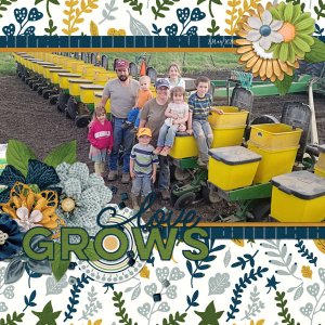 Love Grows
