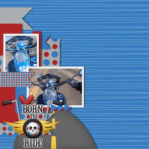 Born to Ride