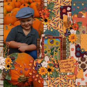 Pumpkin Patch