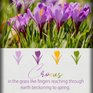 ATC-2020-144-Spring