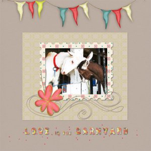 Love in the Barnyard