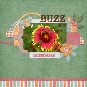 Buzz