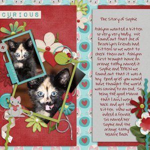 The Story of Sophie