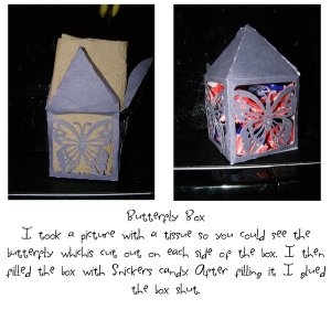 Butterfly box