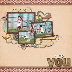 soveryyou_CTled