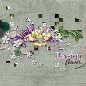 Passion flower