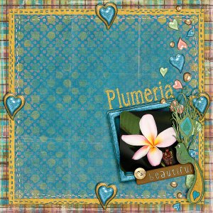 Plumeria