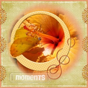 Moments