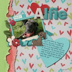 Alfie_1
