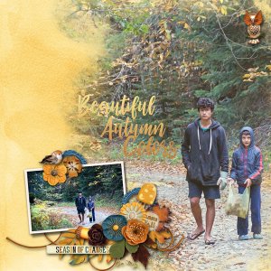 autumn