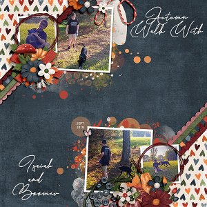 Autumn Walk