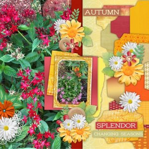 Autumn Slendor