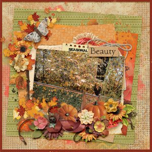 Seasonal Beauty
