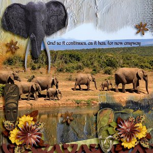 Elephants