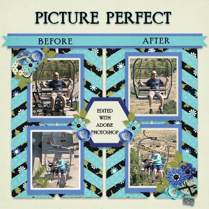 Picture Perfect