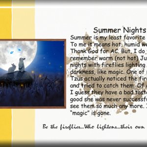 Summer Nights