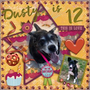Happy Bday Dusty