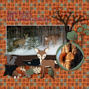 600-adbdesigns-forest-sanctuary-pia-01