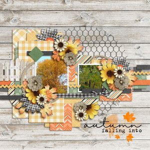 Falling Into Autumn