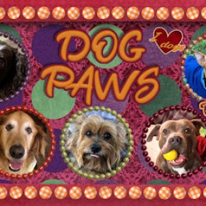 Oct 2020 FB Group Banner
