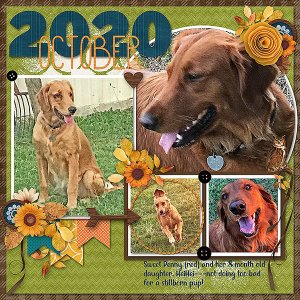 #2020OctCh-PennyHeiHei100820