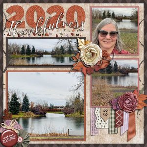 2020 Thankfulness