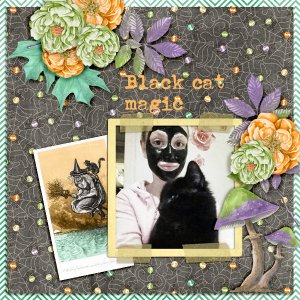 Black-cat-magic