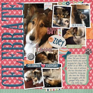 Happy Gotcha Day Zoey!