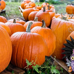 October FB header