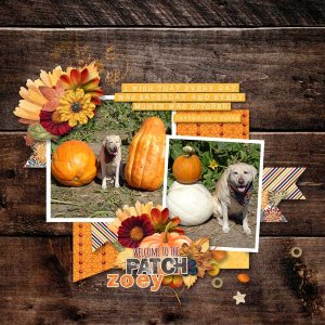 2019 October