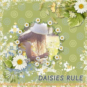Daisies