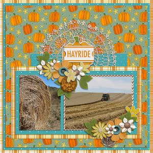 Hayride
