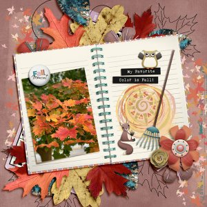 Colors of Fall