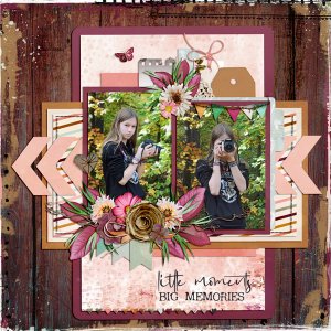 little moments - big memories