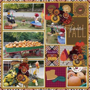 Favorites of fall
