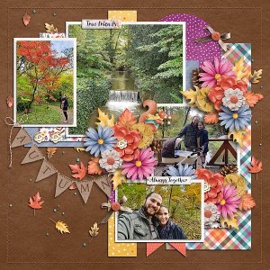 Forest friends