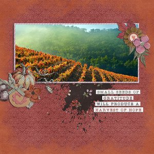 harvest of hope