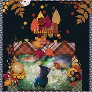 Autumn Favorite