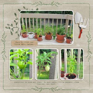Deck garden