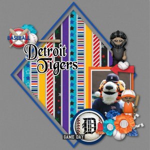Detroit Lions