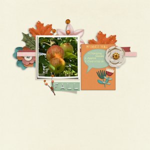My_favorites_things_about_fall