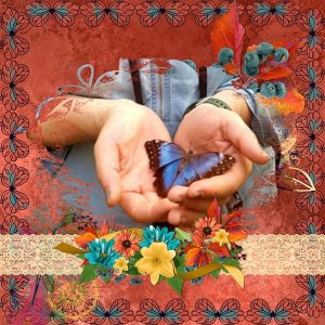 Blue Butterfly
