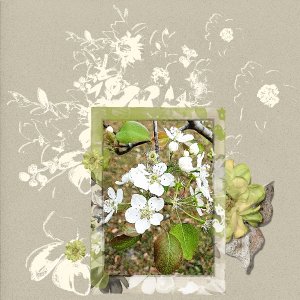 November 2020 Brush Challenge Blossoms