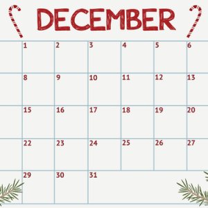 Nov 2020 Desktop challenge