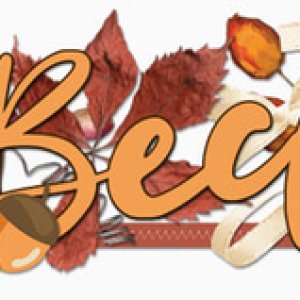 November 2020 siggie