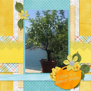 Lemon Trees