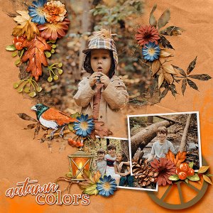Autumn_Colors_Gallery_Size