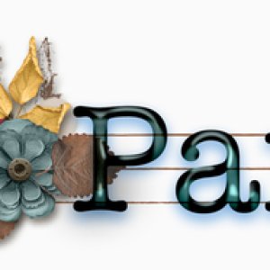 November Signature Challenge