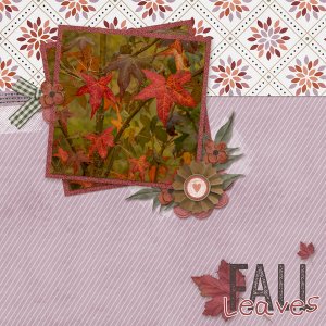 Fall Leaves