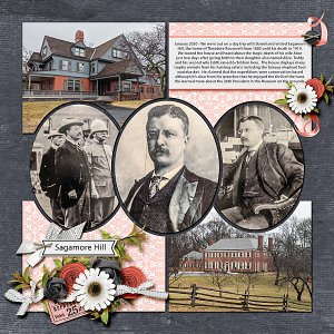 Sagamore hill
